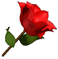 rose04r.gif